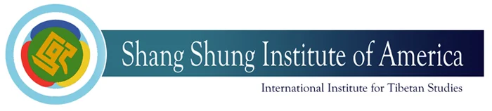 SSI_USA_banner.jpg