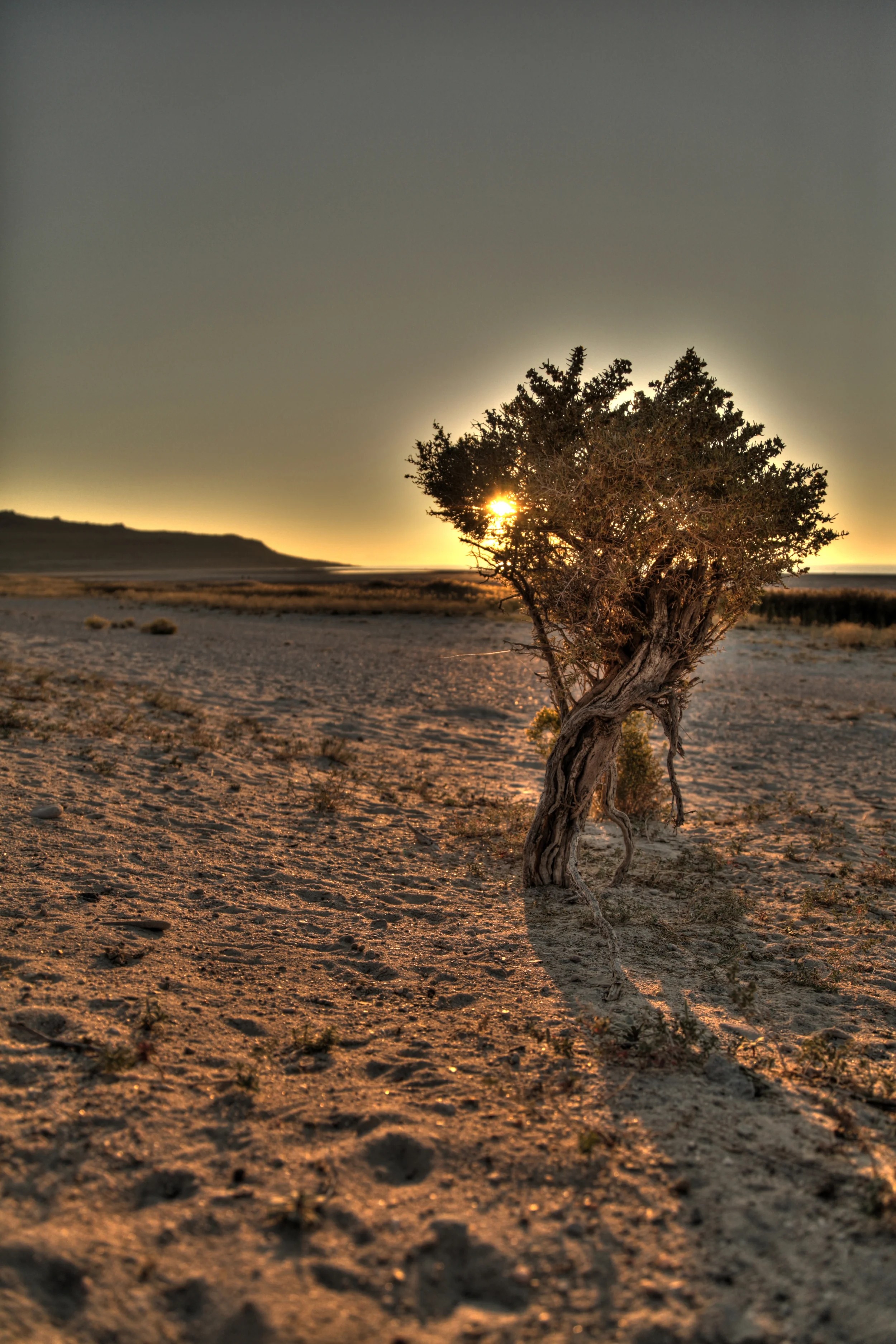 Standing Alone in the Blazing Sun