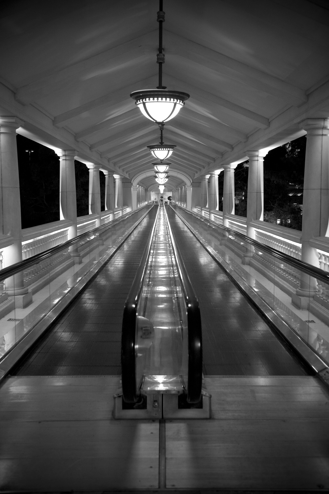 Elegant Walkway