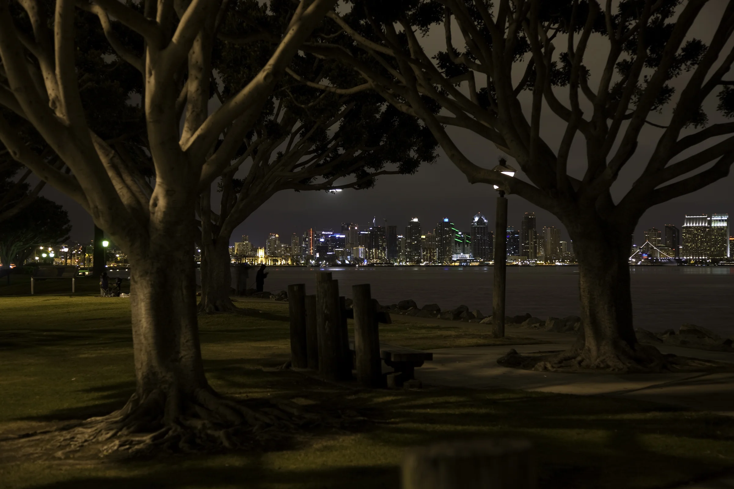 Keeping an Eye on the City