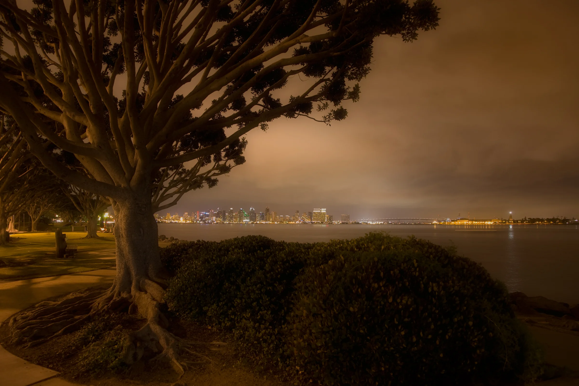 San Diego Glows Orange