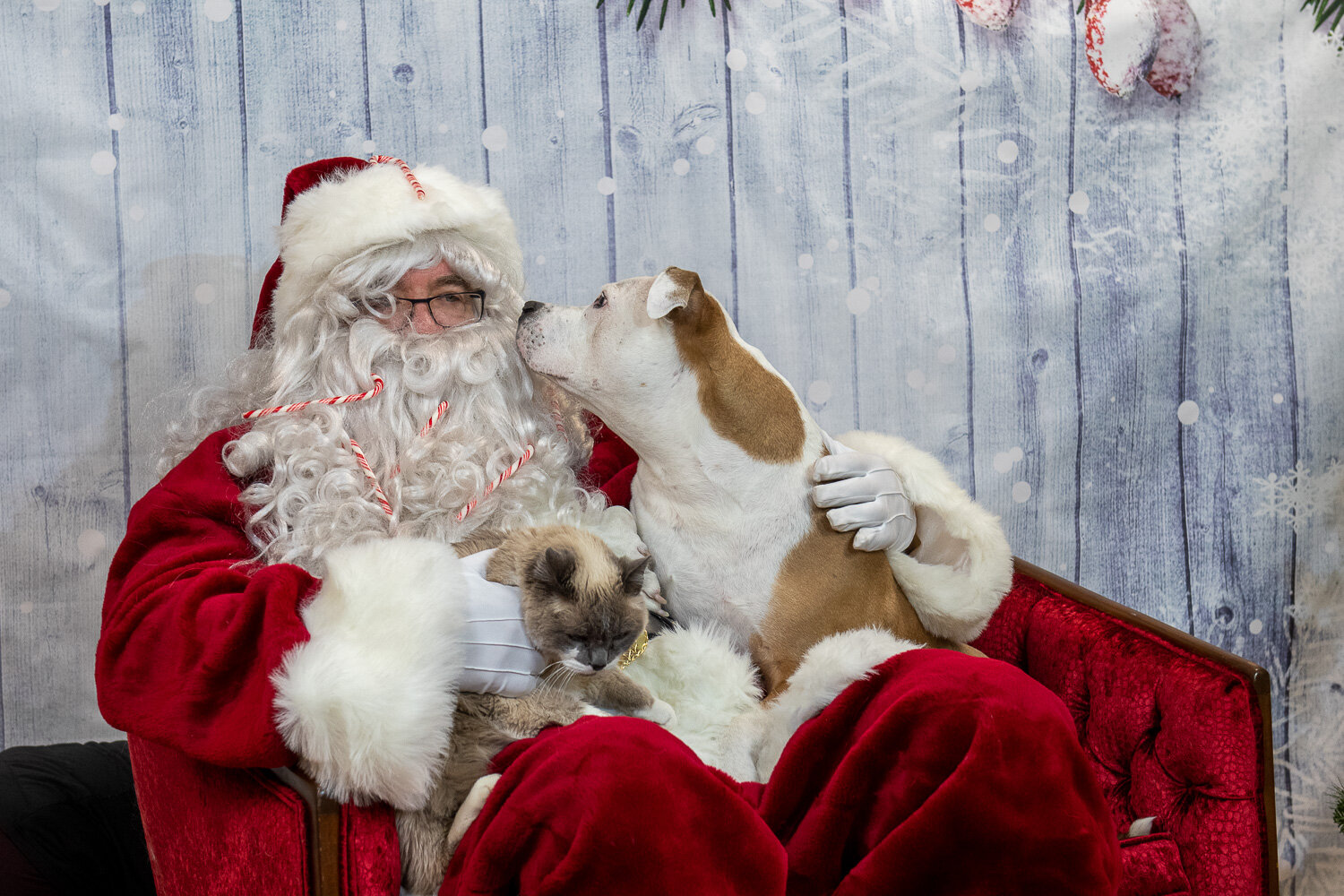 Santa and Pet photo sesison