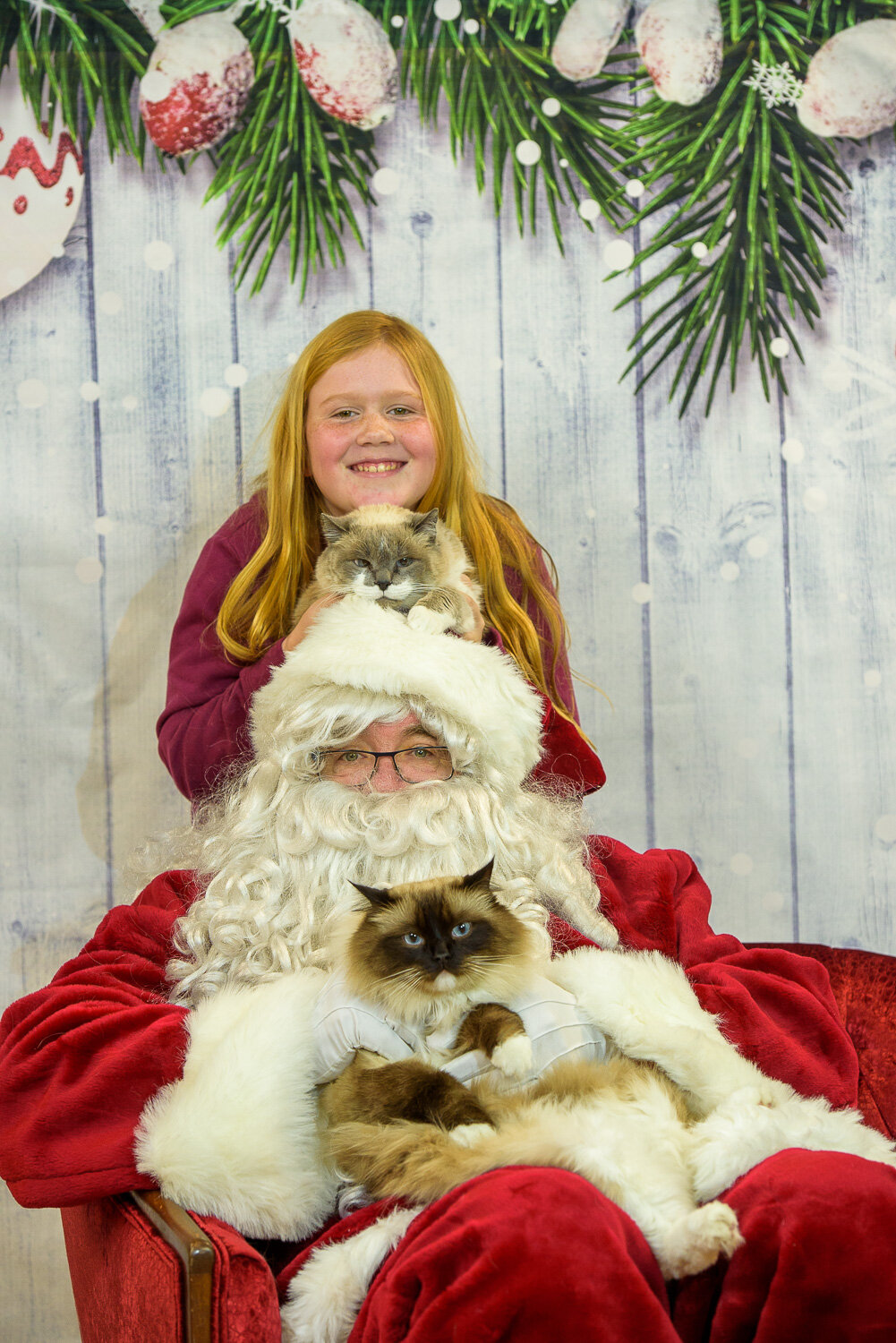 Santa & Pets Photo