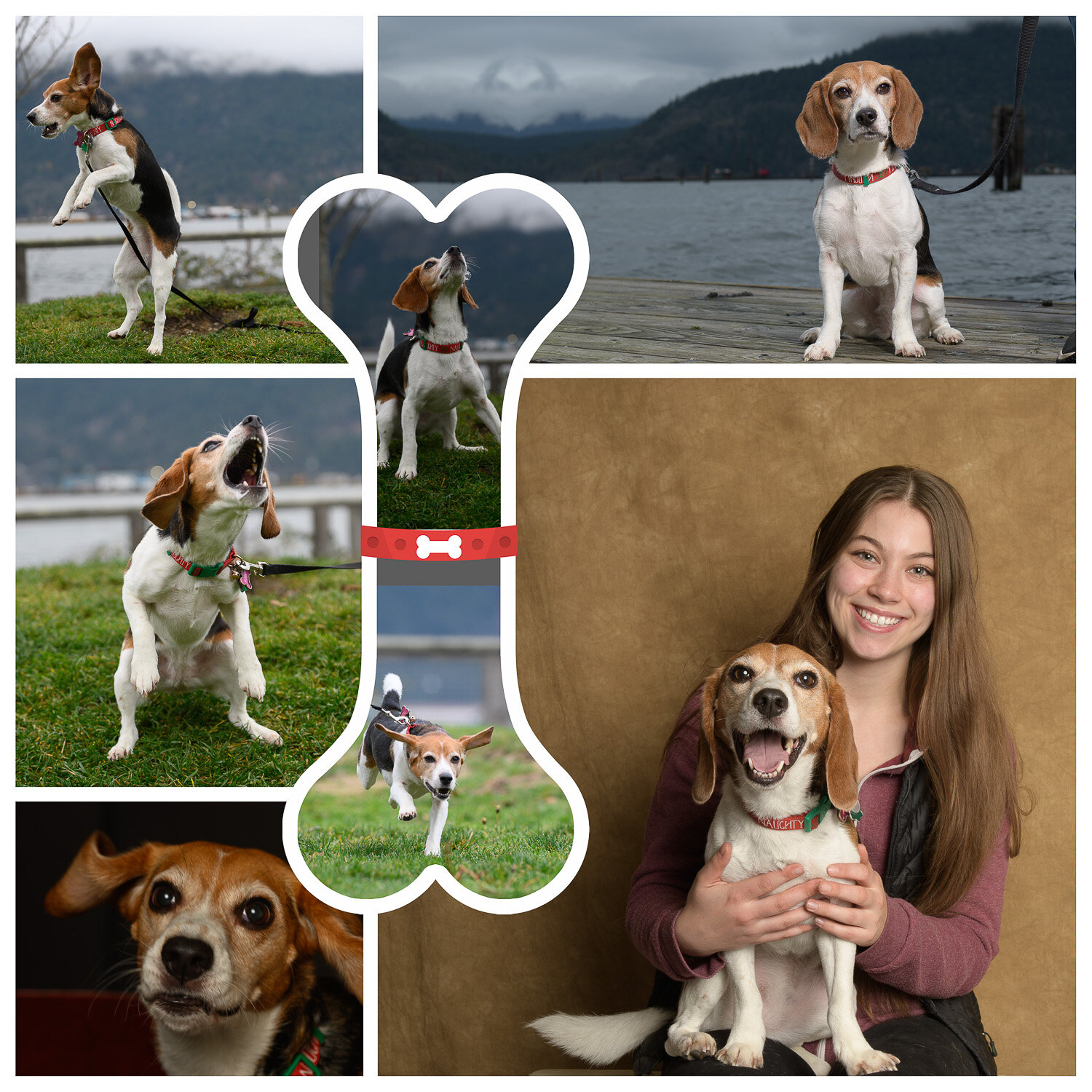  pet photography, pet photographer, Cowichan Valley to Nanaimo, Nanaimo pet photographer, Ladysmith pet photographer, Duncan Pet photographer, Cowichan Pet photographer