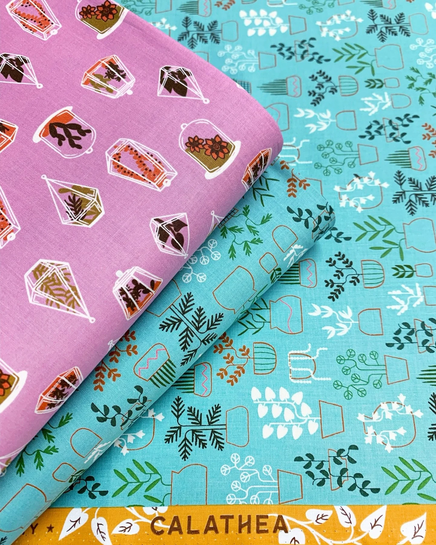 Calathea from Ruby Star Society is a collaborative collection and these beauties are at the shop! The inspiration was indoor gardens and cozy home vibes. We also have Layer Cakes so you experience every piece of the collection. 🌿
.
.
.
.
.
#quilteda