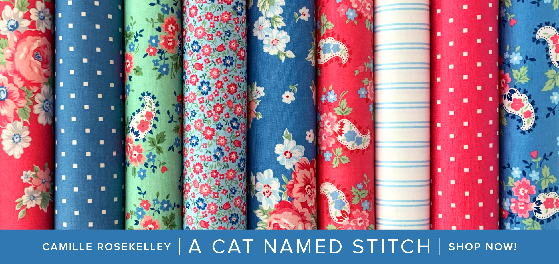 QA-ACatNamedStitch.png