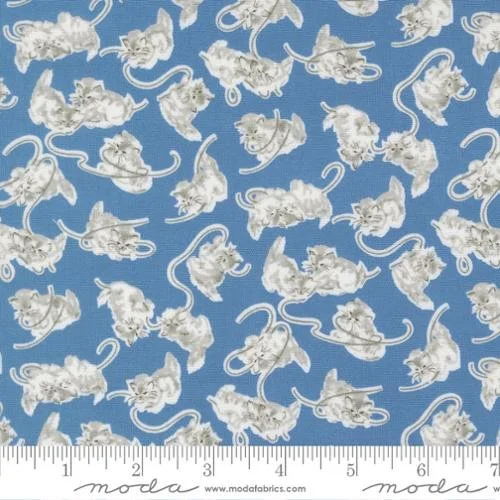 Moda: A Cat Name Stitch Georgie Kitten Blue by Camille Roskelley (55341 13)