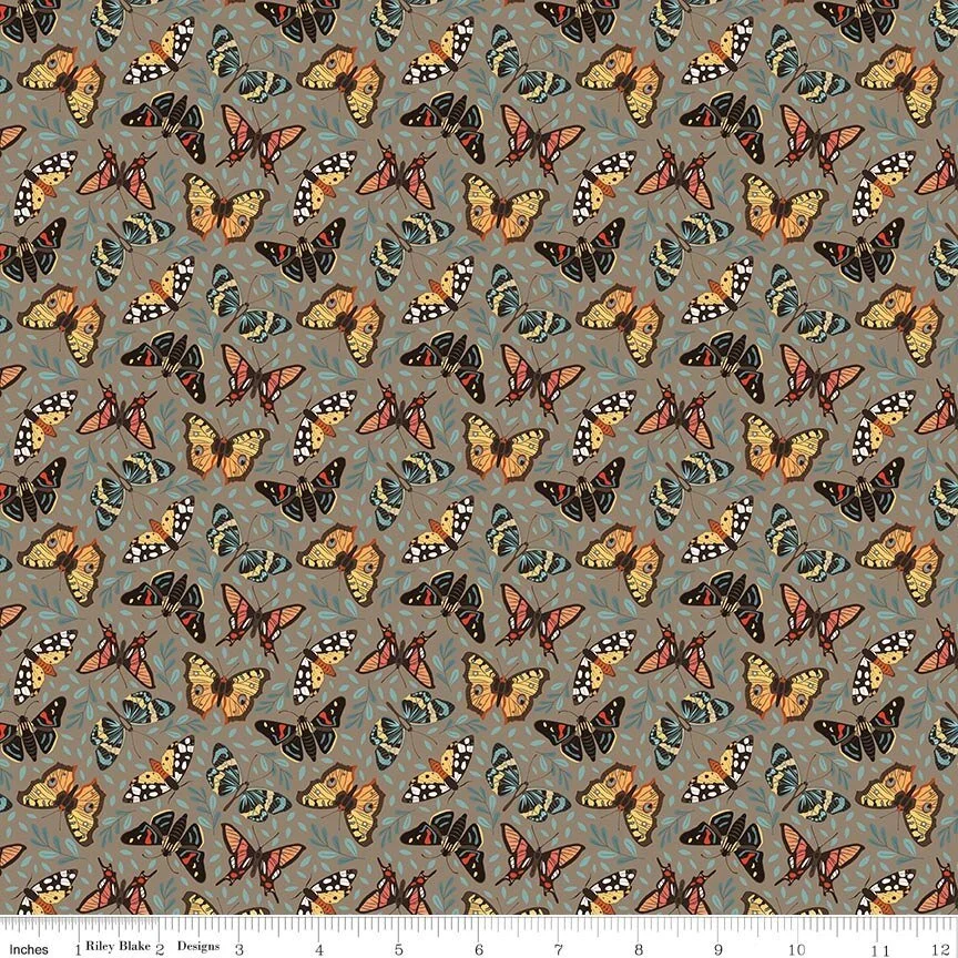 Riley Blake Designs: Secret Garden Moths Chestnut by Amanda Castor (C18042-CHESTNUT)