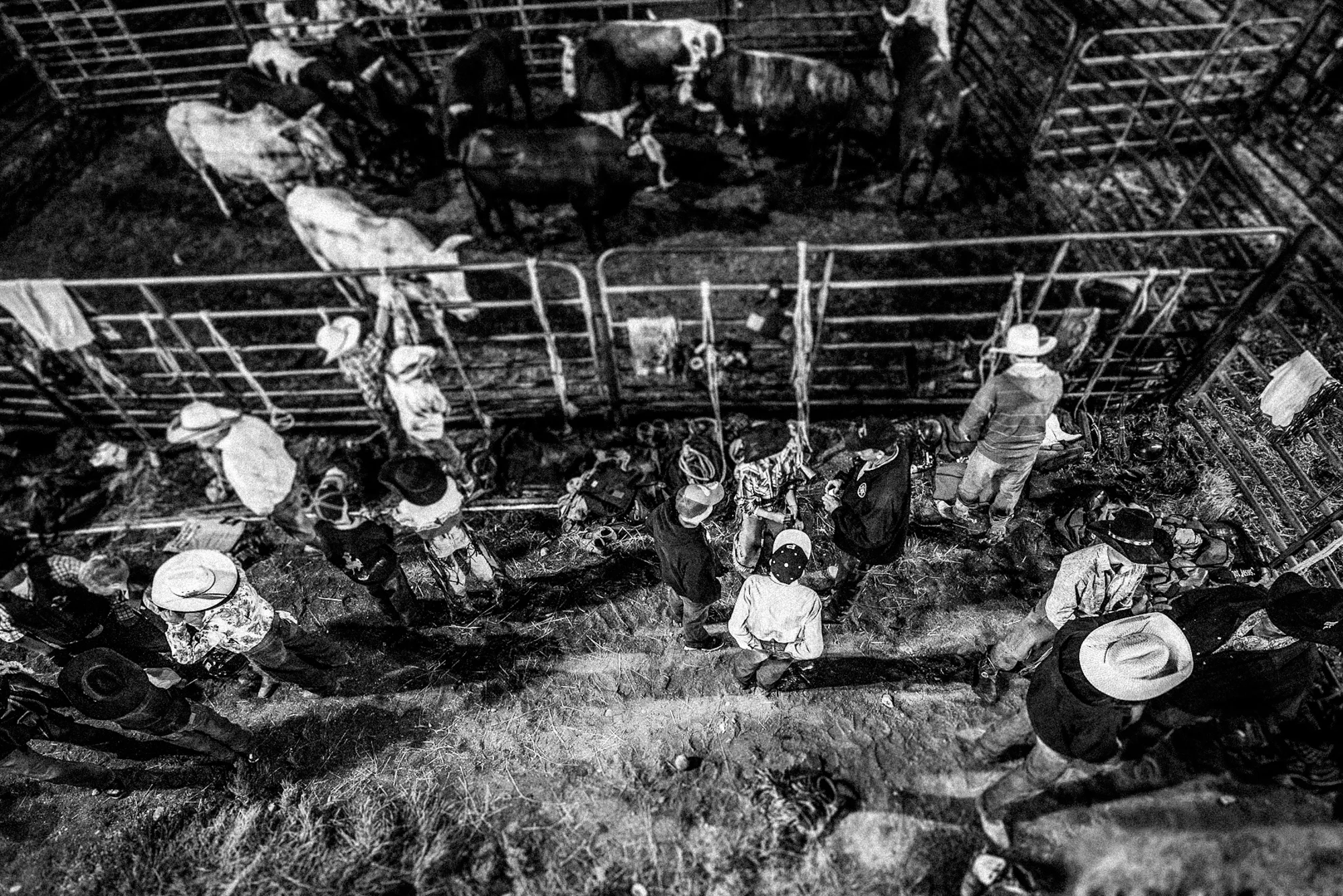 Pinedale_Wyoming_Rodeo-13.jpg
