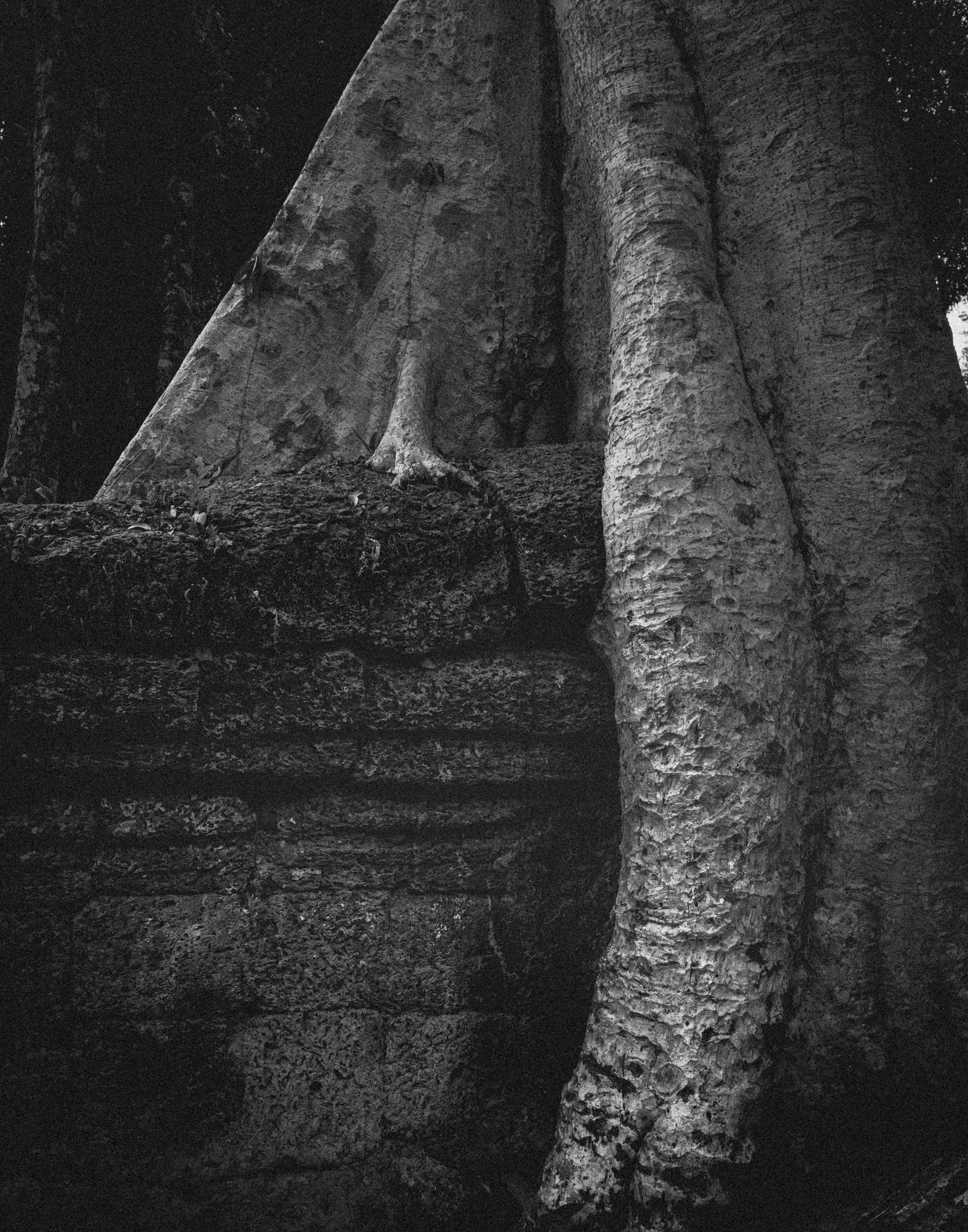 Angkor_Wat_Cambodia-5199.jpg