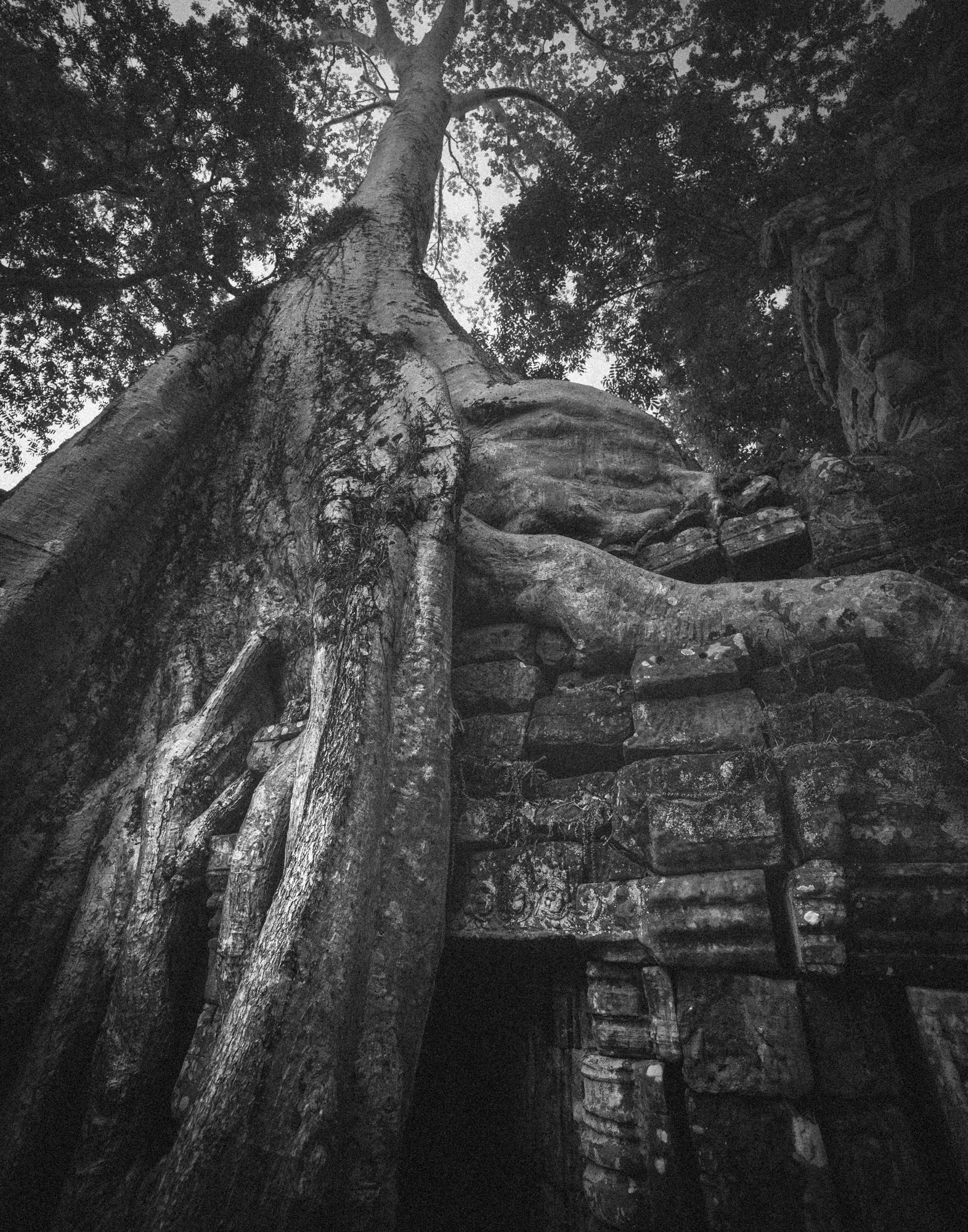 Angkor_Wat_Cambodia-5227.jpg