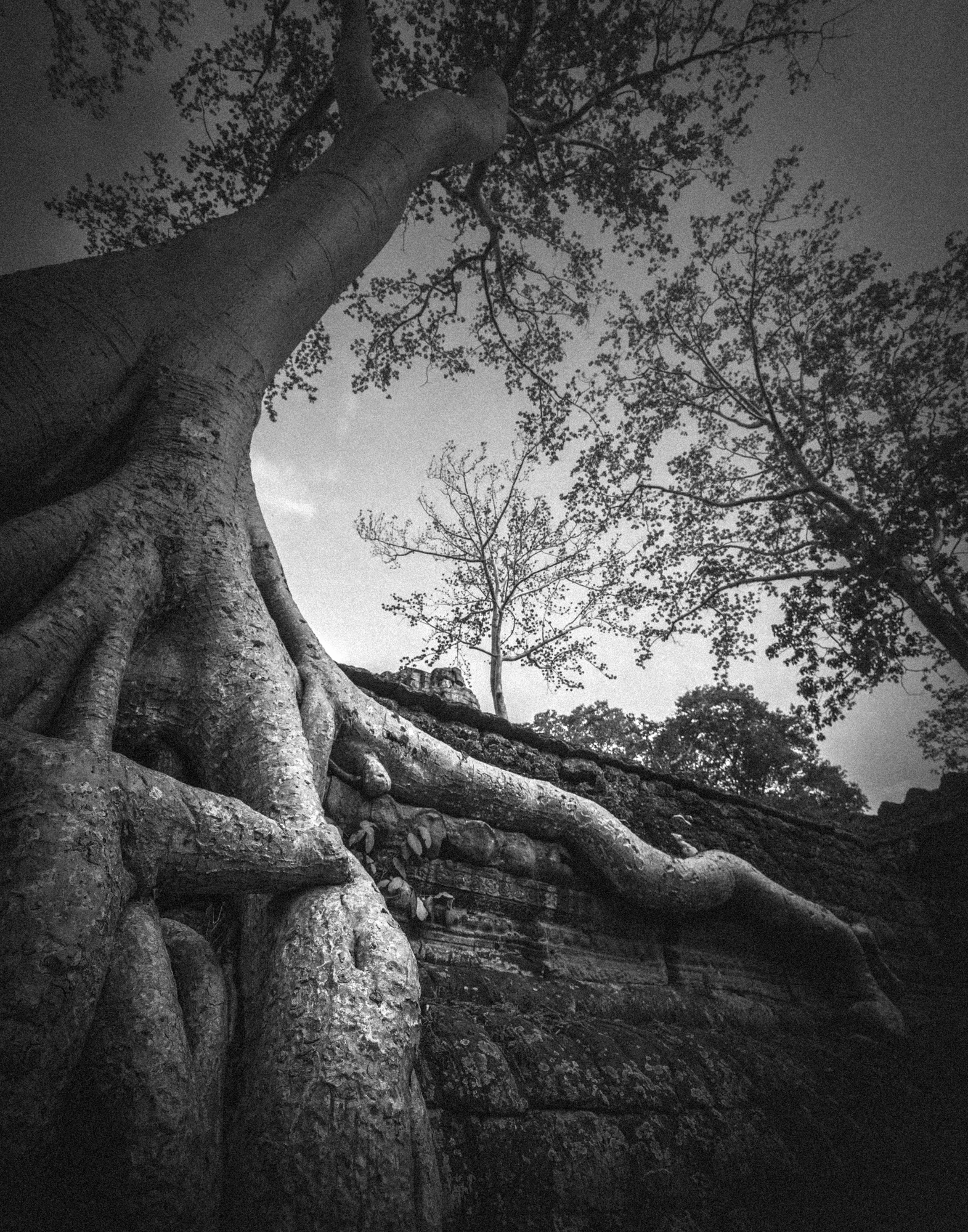 Angkor_Wat_Cambodia-5263.jpg