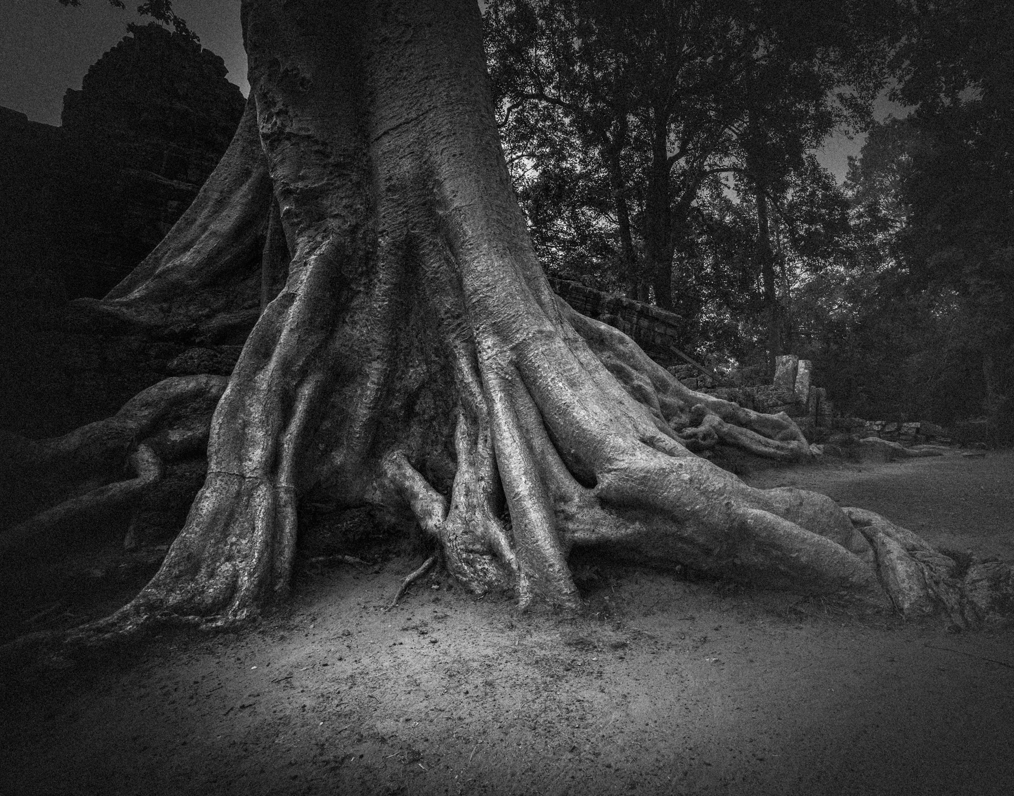 Angkor_Wat_Cambodia-5355.jpg