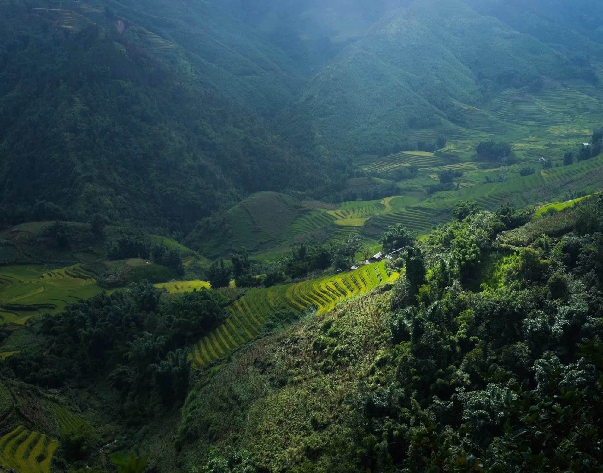 Sapa_Vietnam-0087.jpg