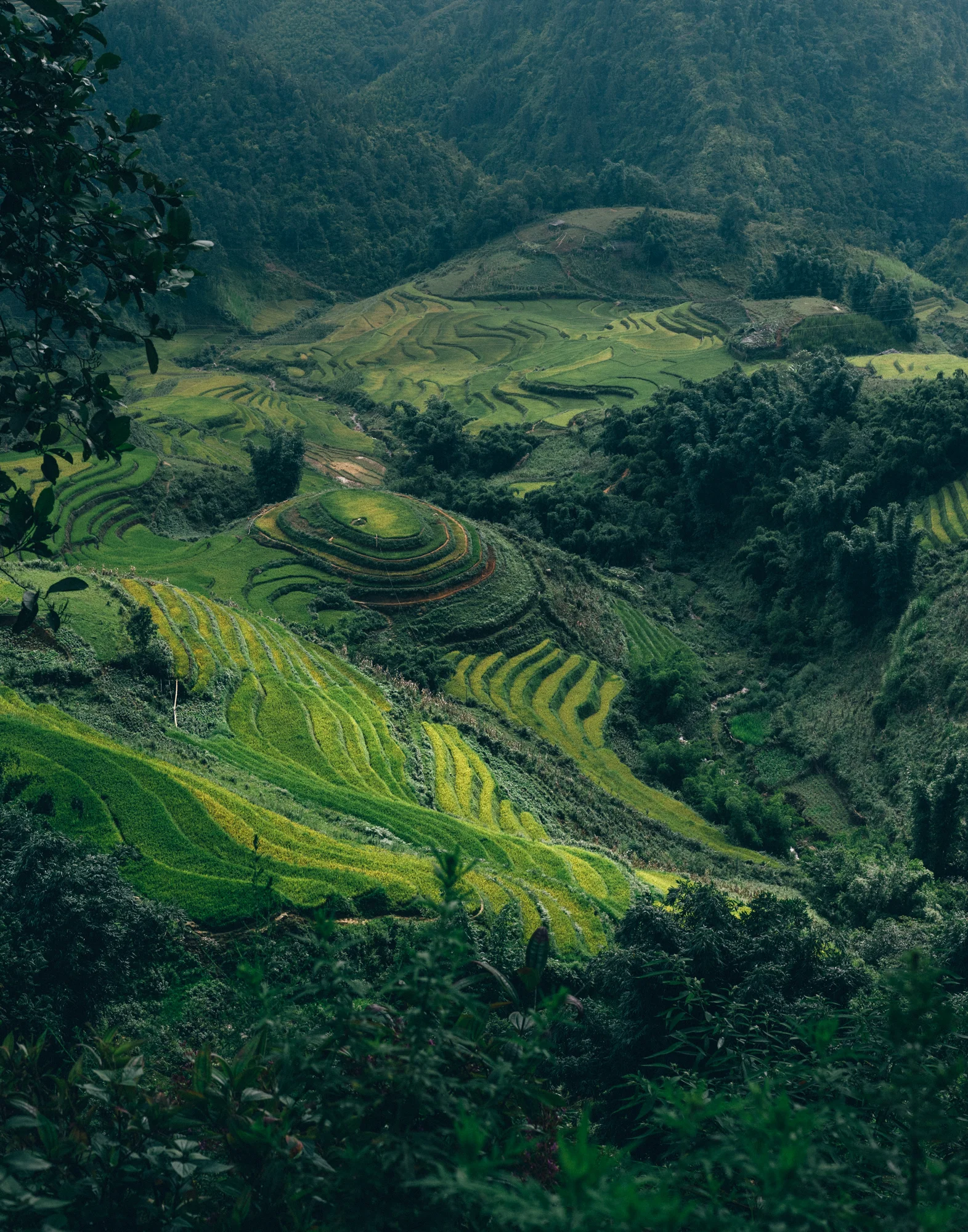 Sapa_Vietnam-0089.jpg
