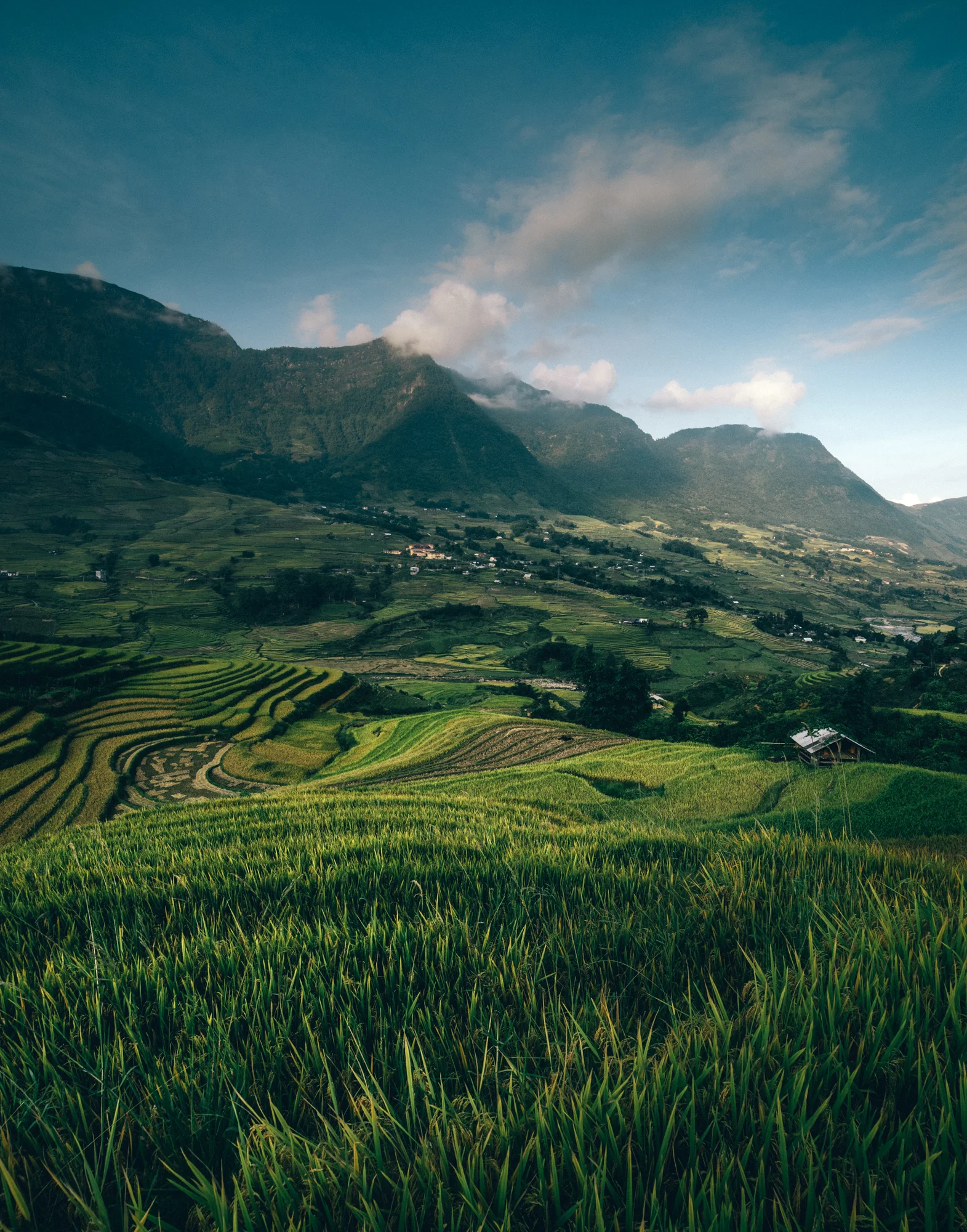 Sapa_Vietnam-0569.jpg