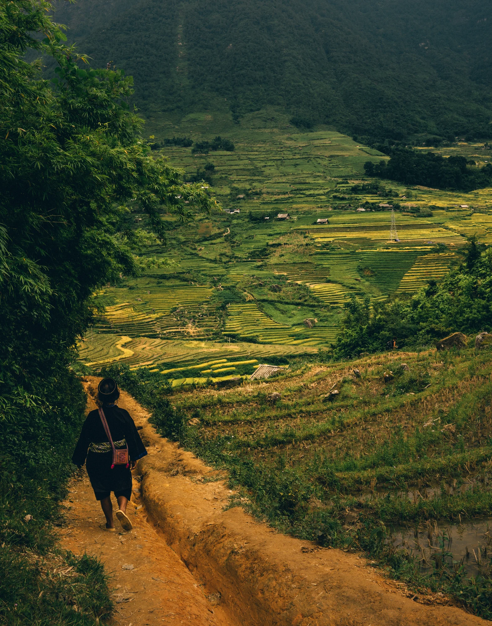 Sapa_Vietnam-1237.jpg