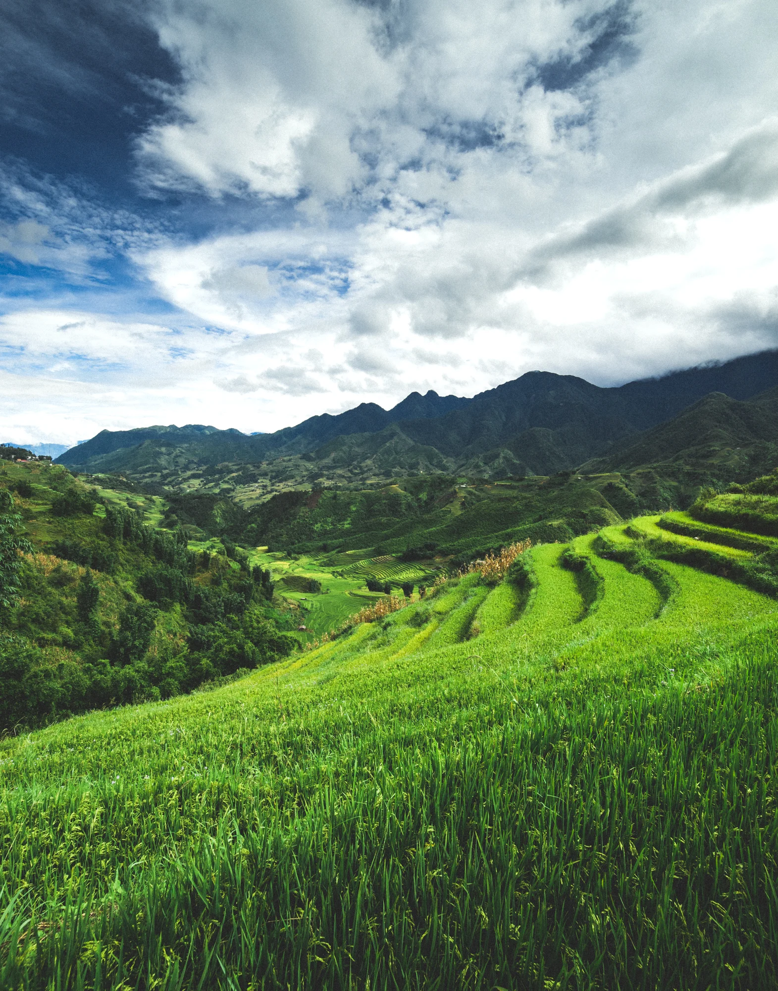 Sapa_Vietnam-9633.jpg