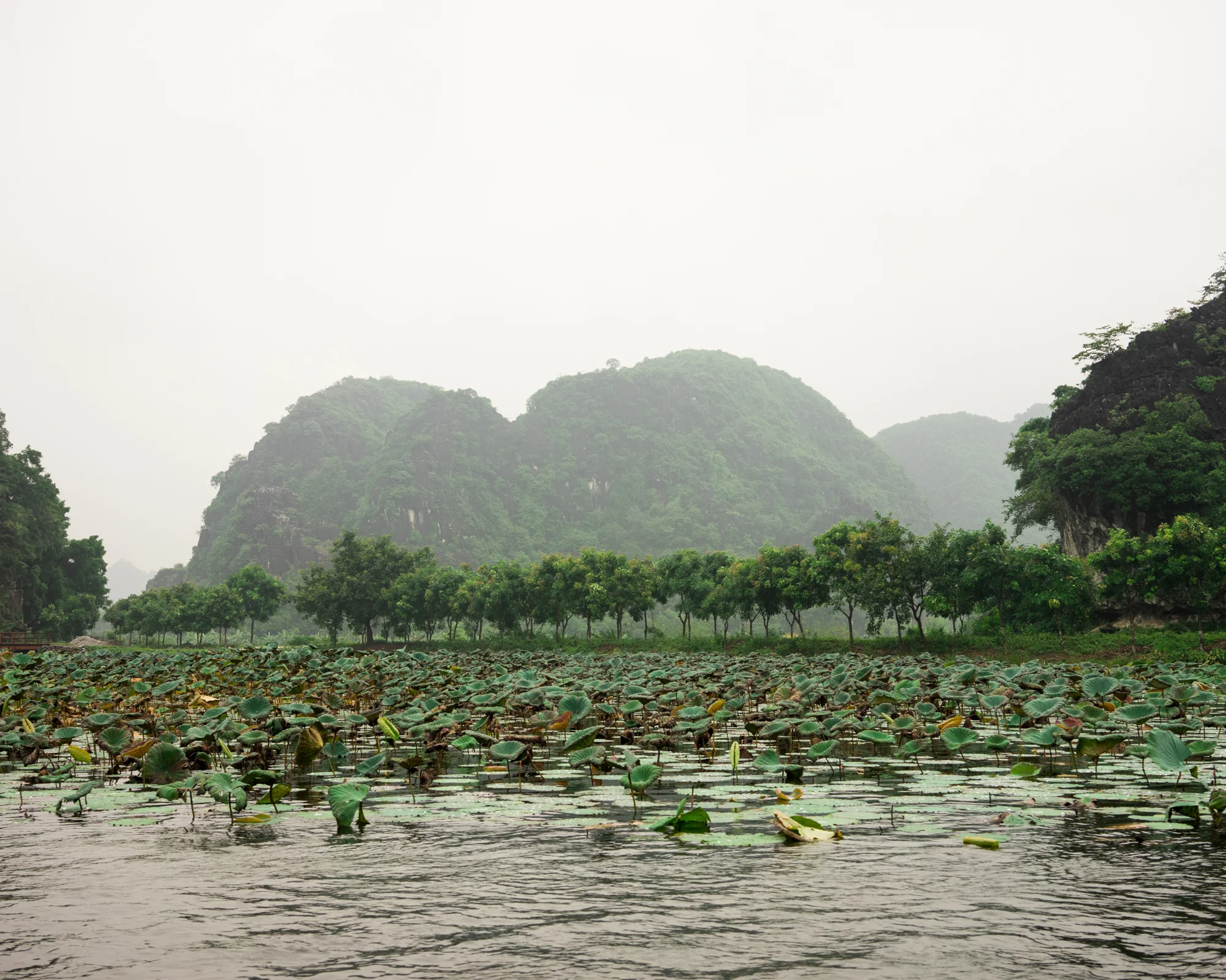 Ridenour_Ninh_Binh-2.jpg