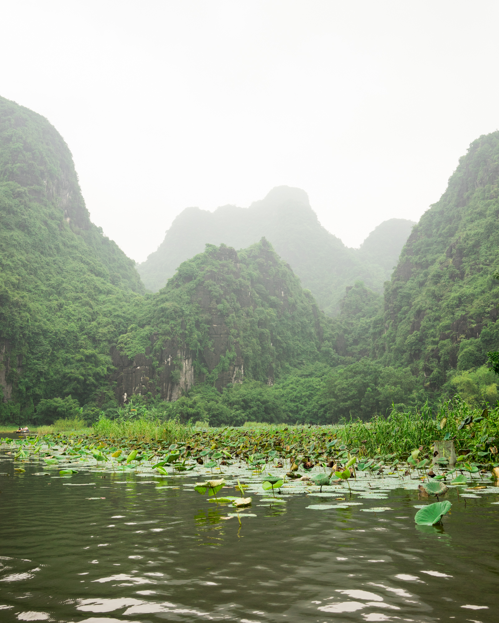Ridenour_Ninh_Binh-1653.jpg