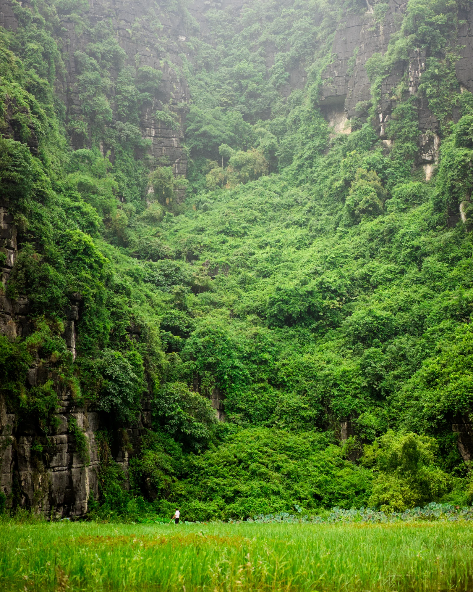 Ridenour_Ninh_Binh-1917.jpg