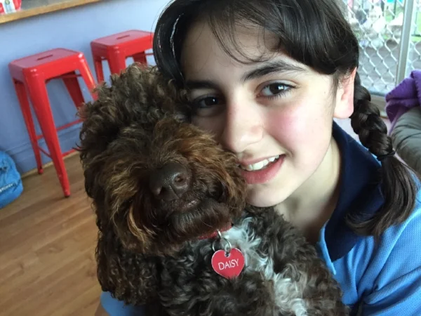 TALOODLES DAISY Taloodles Daisy is a very, sweet natured little dog who was placed with Bianca in 2013. Bianca has high functioning autism, receptive and expressive language disorders in the severe range, cognitive and intellectual delay and Attention Deficit Hyperactivity Disorder – all of these disorders make every day for her family challenging as all these disorders can present simultaneously. Bianca has also suffered with anxiety and depression and has been bullied at school by her peers. Bianca has an over sensitivity to loud places like concerts and swimming carnivals and has a tactile sensitivity to hair washing and clothing. Daisy has settled in well with her family, she has provided Bianca with a constant, non judgmental, loving friend. Daisy gives Bianca great emotional support and reduces her anxiety, she is a great social tool and helps Bianca to strike up conversations with adults and other kids about her dog. Bianca has also learnt responsibility, patience and caring through her interaction with Daisy. These two are very special friends.