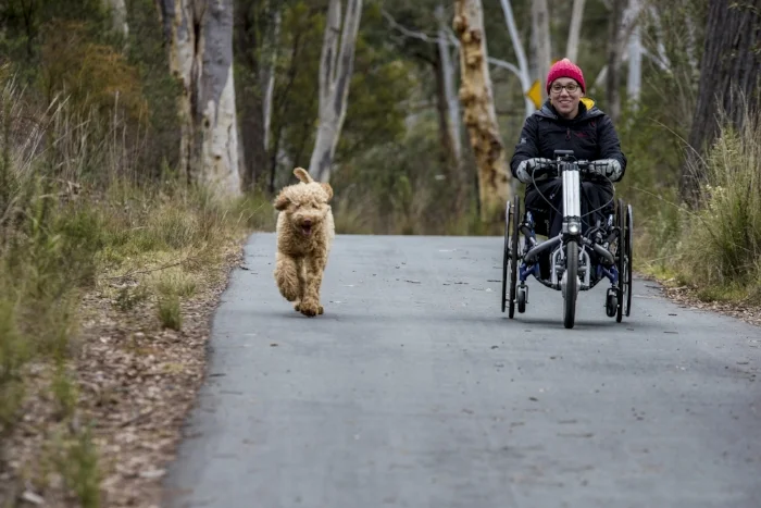 TALOODLES FERGUS Taloodles Fergus is a loveable, goofball who was placed with Fee in 2016. Fergus was specifically trained for Fee, we did a lot of work with Fergus to make him comfortable around Fee's wheelchair. We assisted with the first stage of Fergus' training and Fee is now continuing that training which includes picking things up off the floor, bringing Fee's wheelchair to her, getting washing out of the washing machine, and many other small tasks. The relationship between these two is very special to watch.