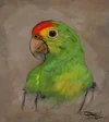 parrot_PaintStudy_QD102413.jpg