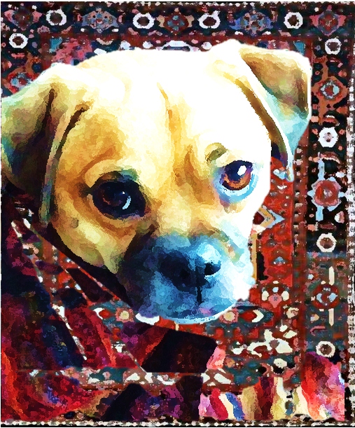 Puppy without A Pearl Earring. 2013.