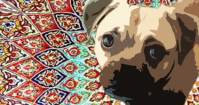 Puppy's on the Carpet Again. 2013