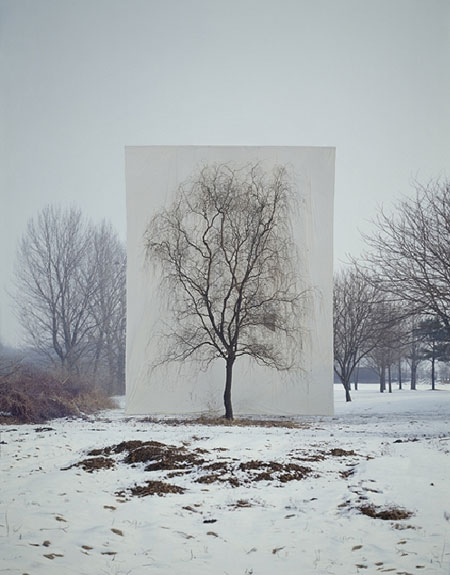 Myong Ho Lee