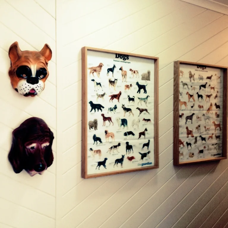 The Guardian sometimes publishes fantastic posters, for free & everything, just as inserts. These were well worth framing. The plastic animal masks I bought in London at Gospel Oak party shop.