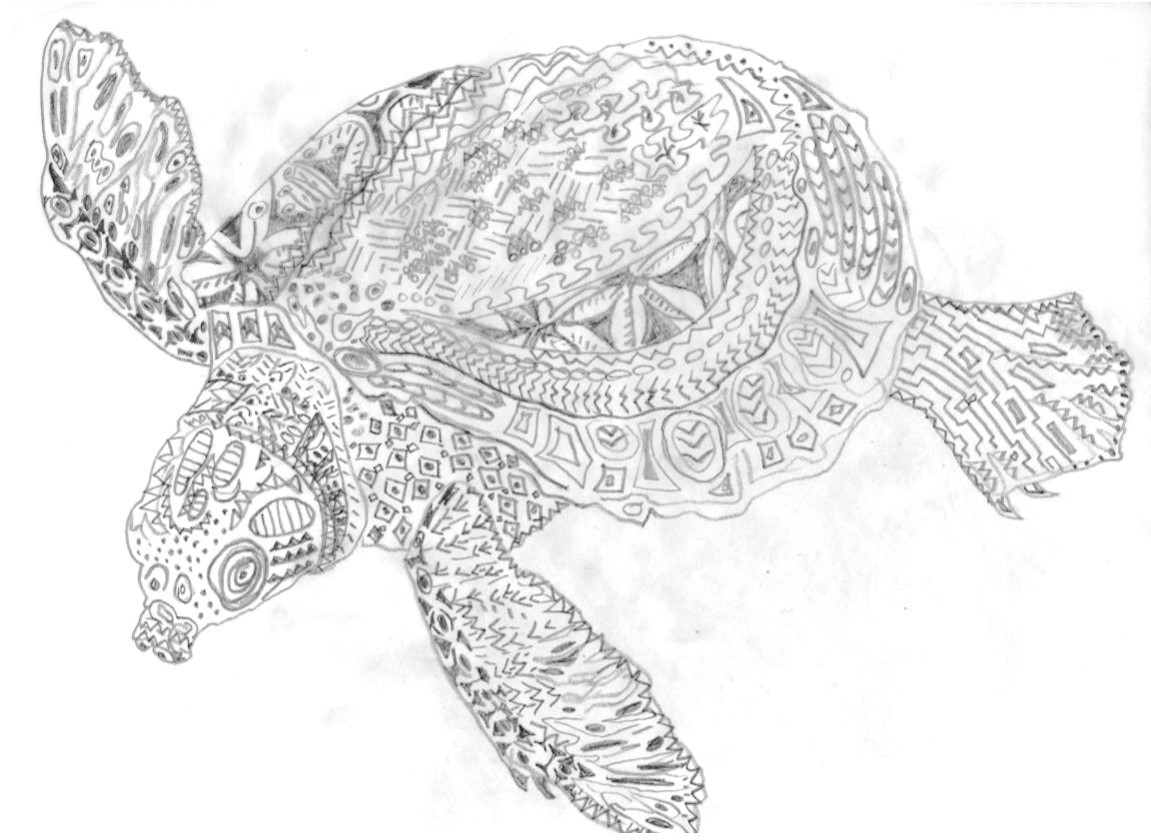 RosiePerl.Turtle.drawing1.jpg