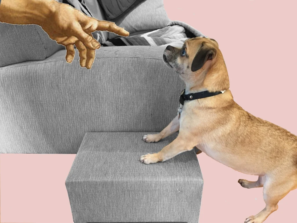 DIY pet step for Puppy's advancing years