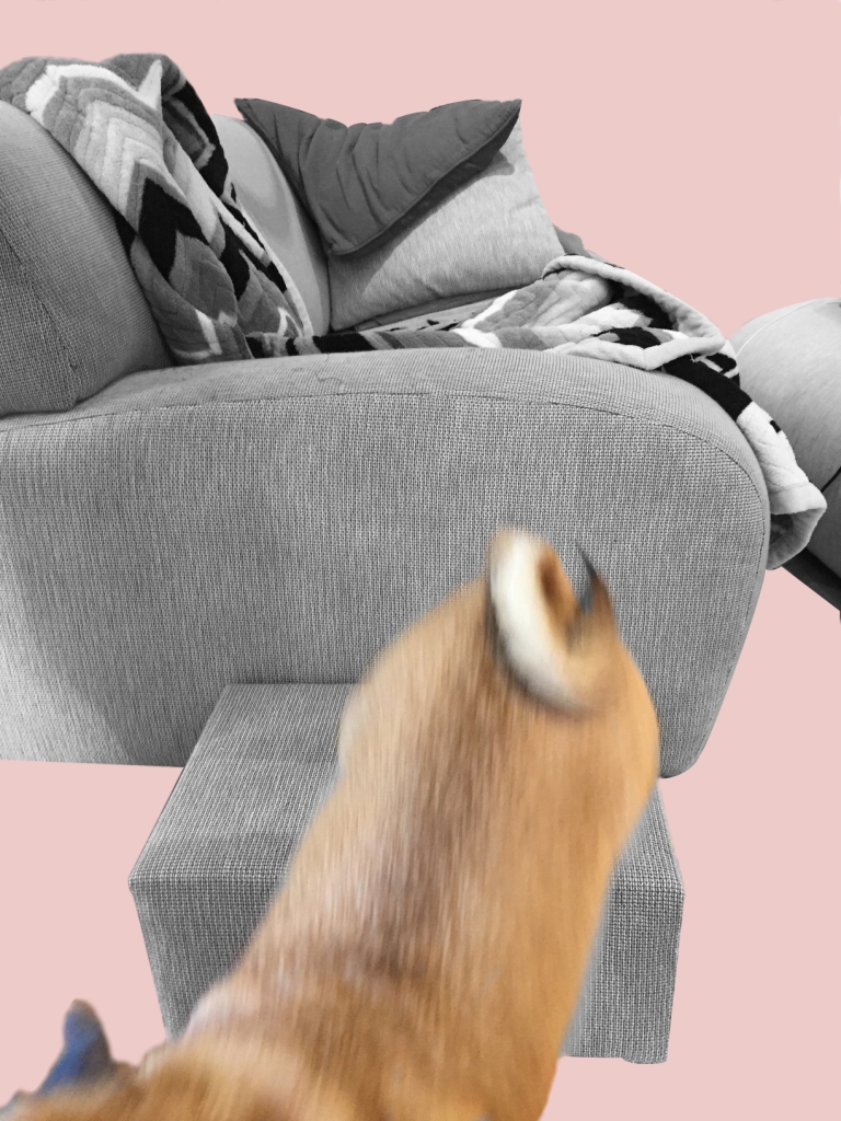 artworkerprojects,pUPPYSTEP.37compressed.jpg