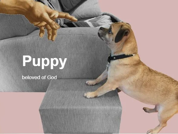 Puppy