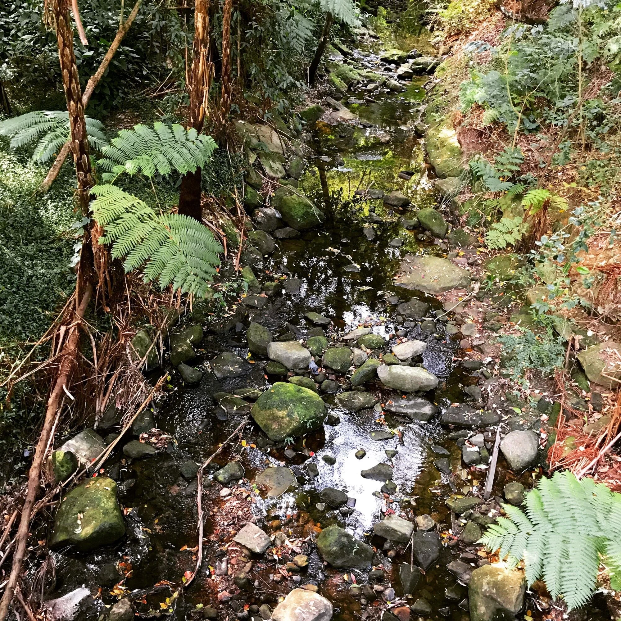 The beautiful place where I live