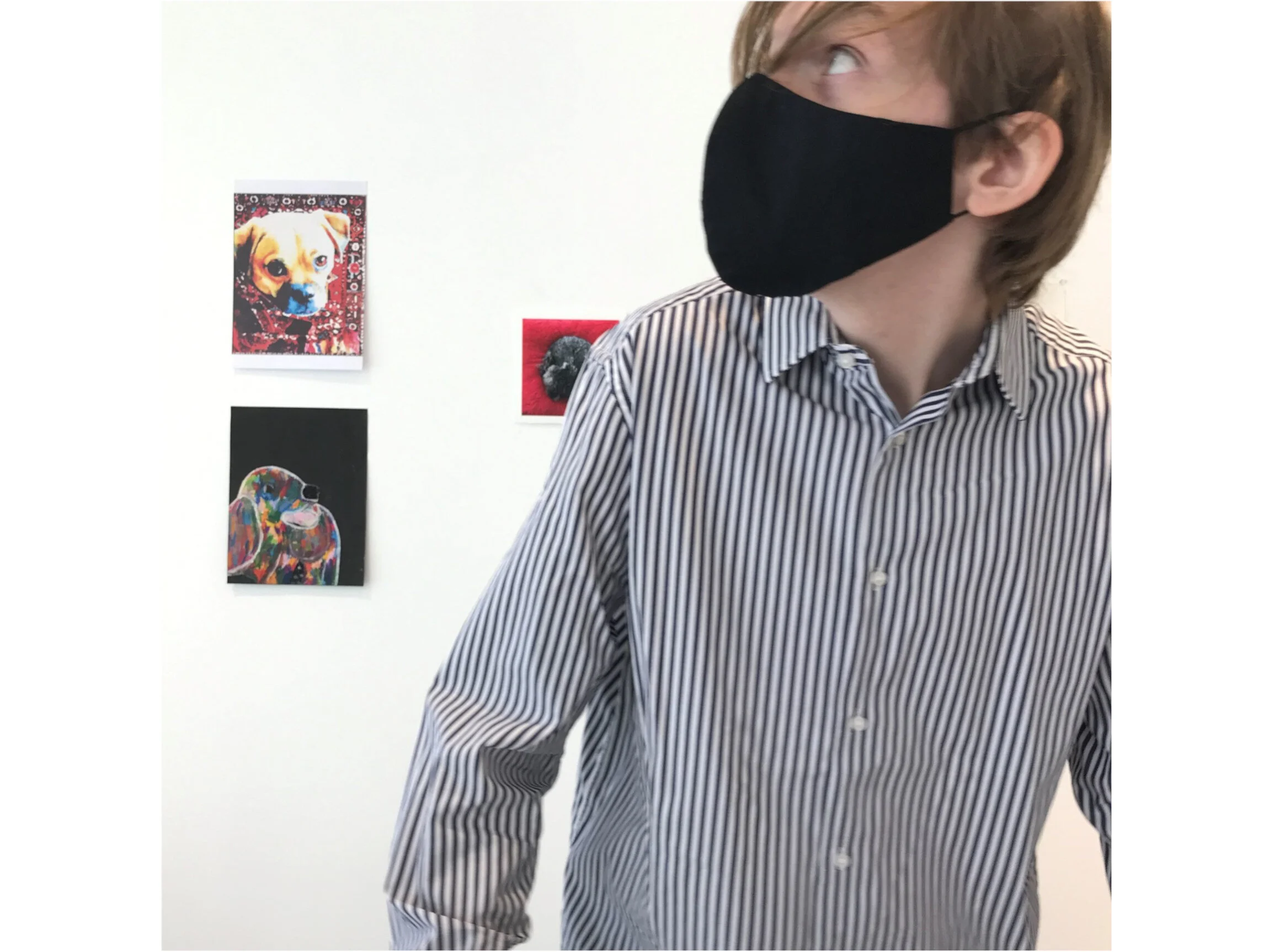 Puppy at Gallery Sally Dan Cuthbert