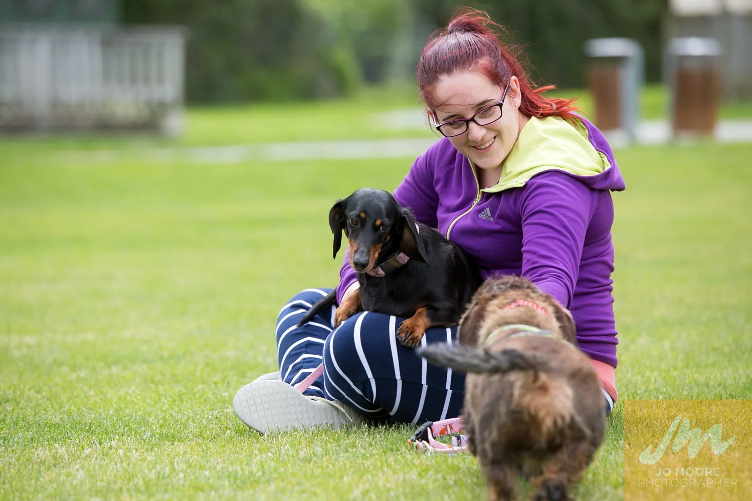 Dachshunds-50.jpg
