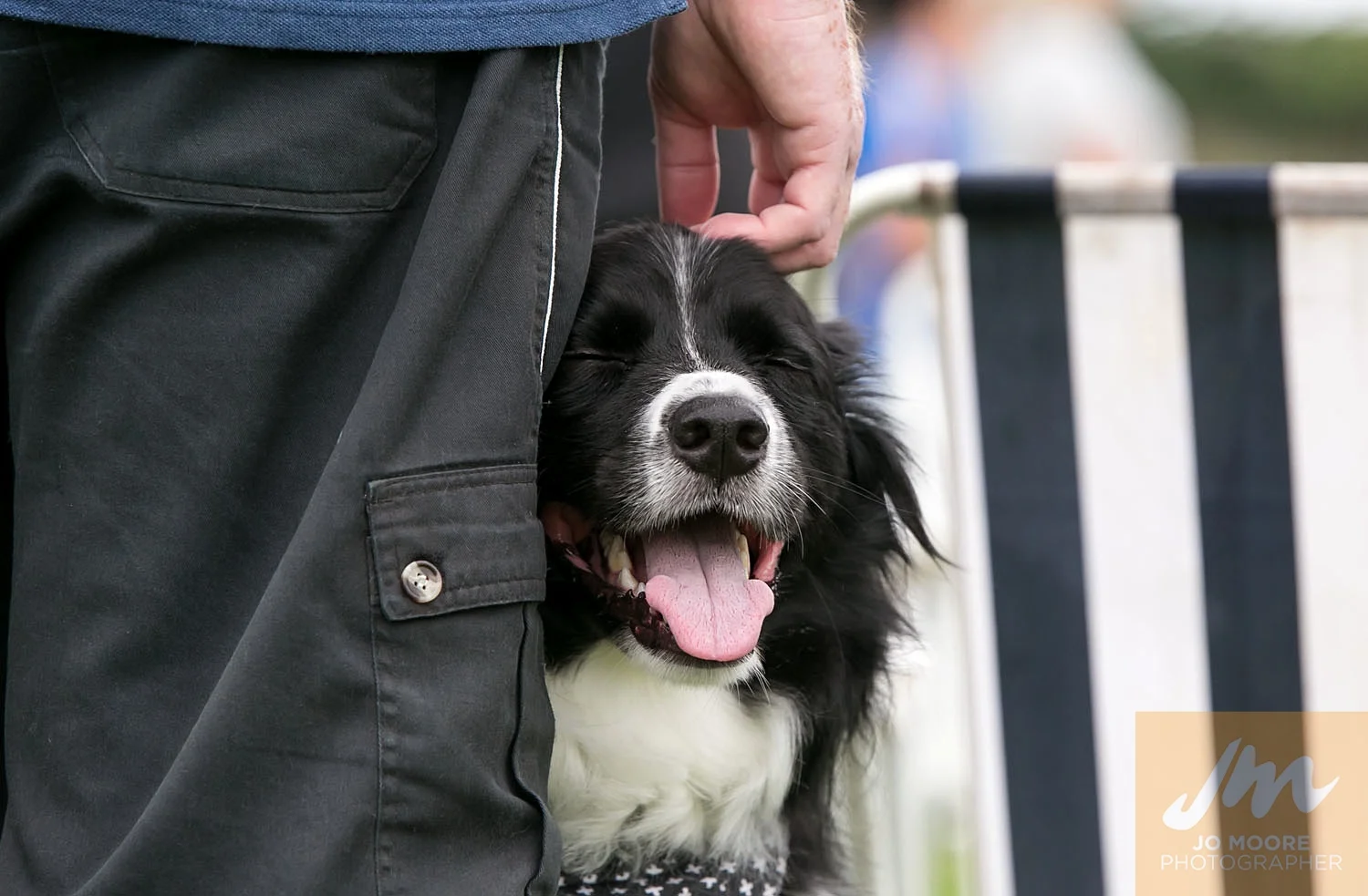 Paws in the Park-20.jpg