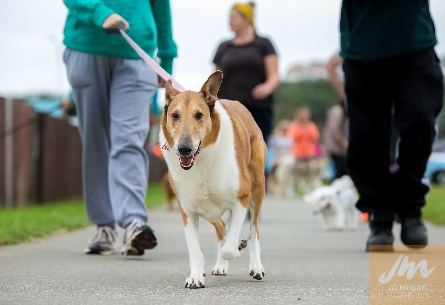 Paws in the Park-29.jpg