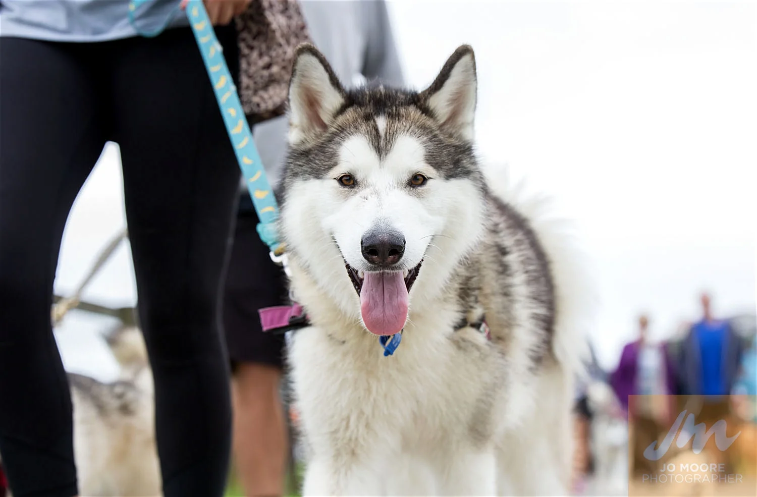 Paws in the Park-32.jpg