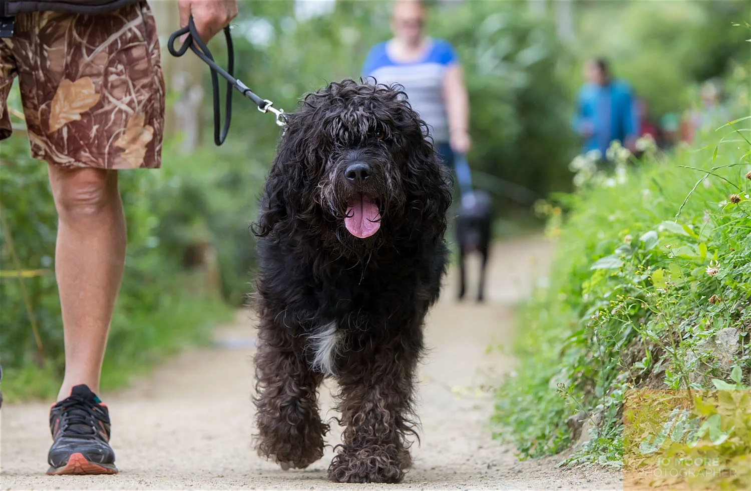 Paws in the Park-42.jpg