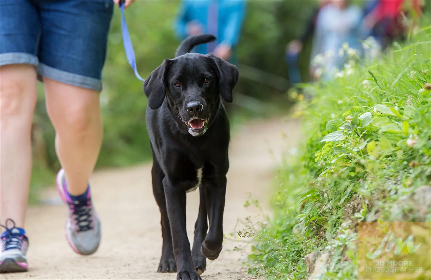 Paws in the Park-43.jpg