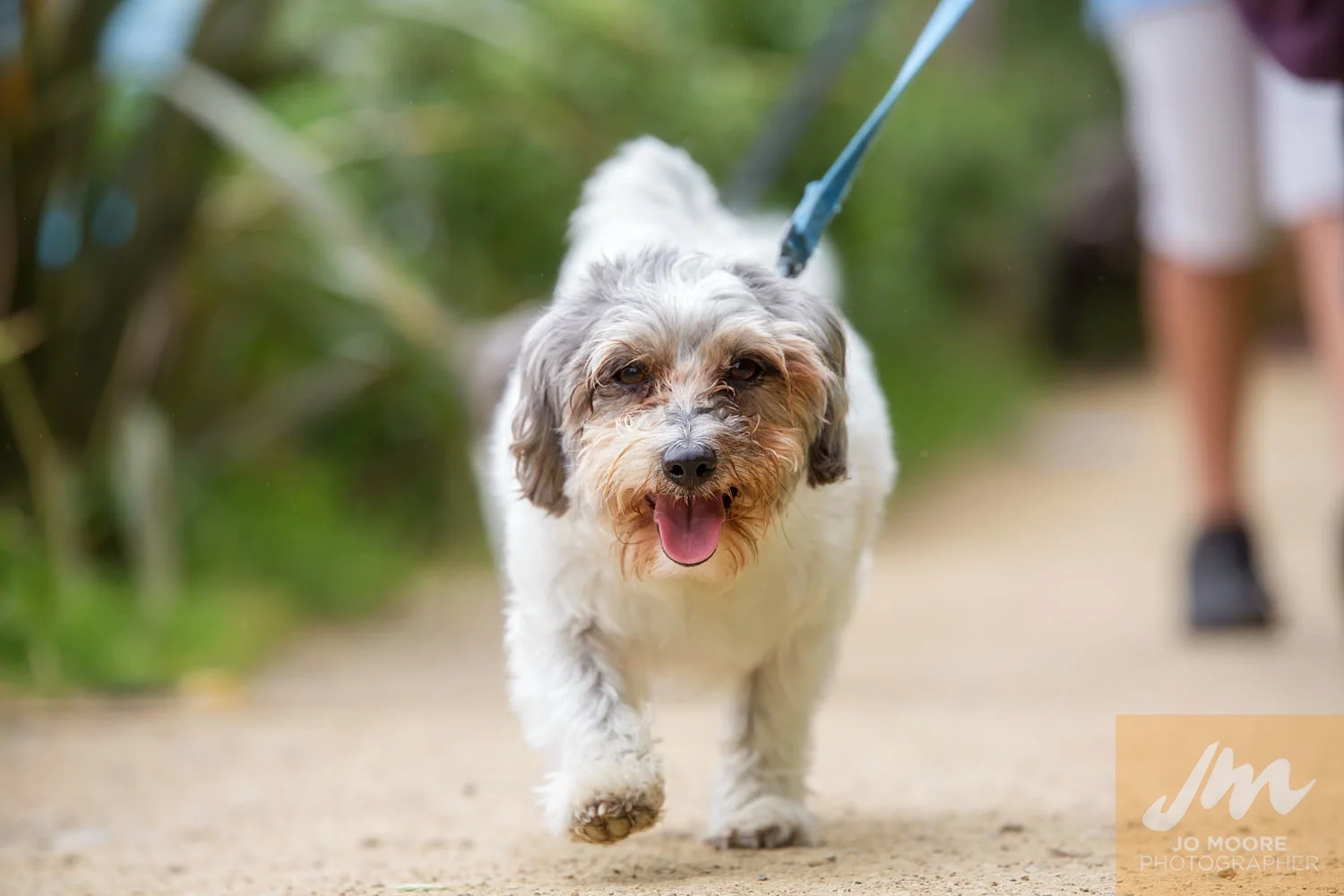 Paws in the Park-47.jpg
