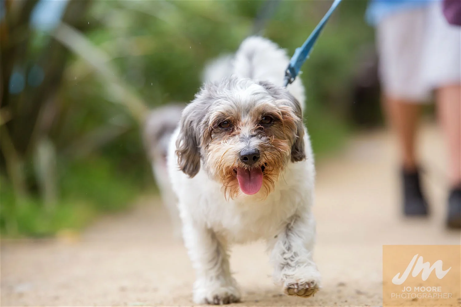 Paws in the Park-48.jpg