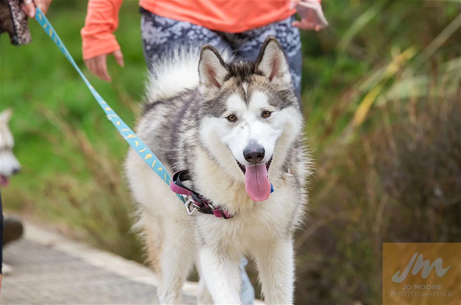 Paws in the Park-55.jpg
