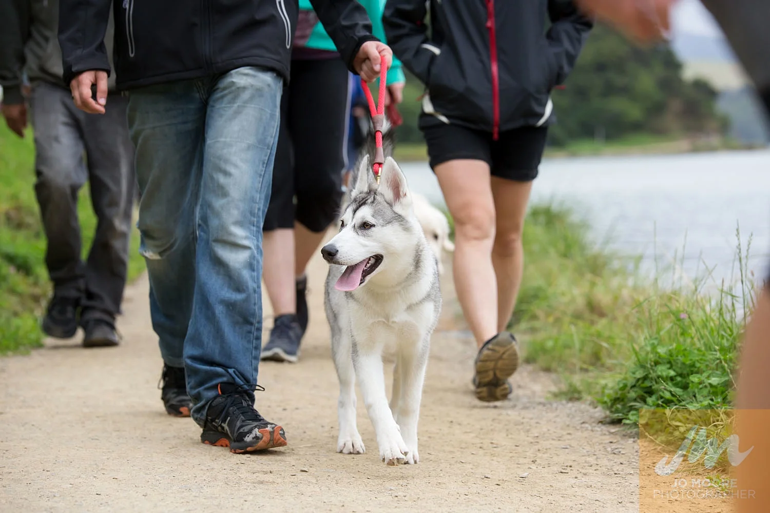 Paws in the Park-71.jpg