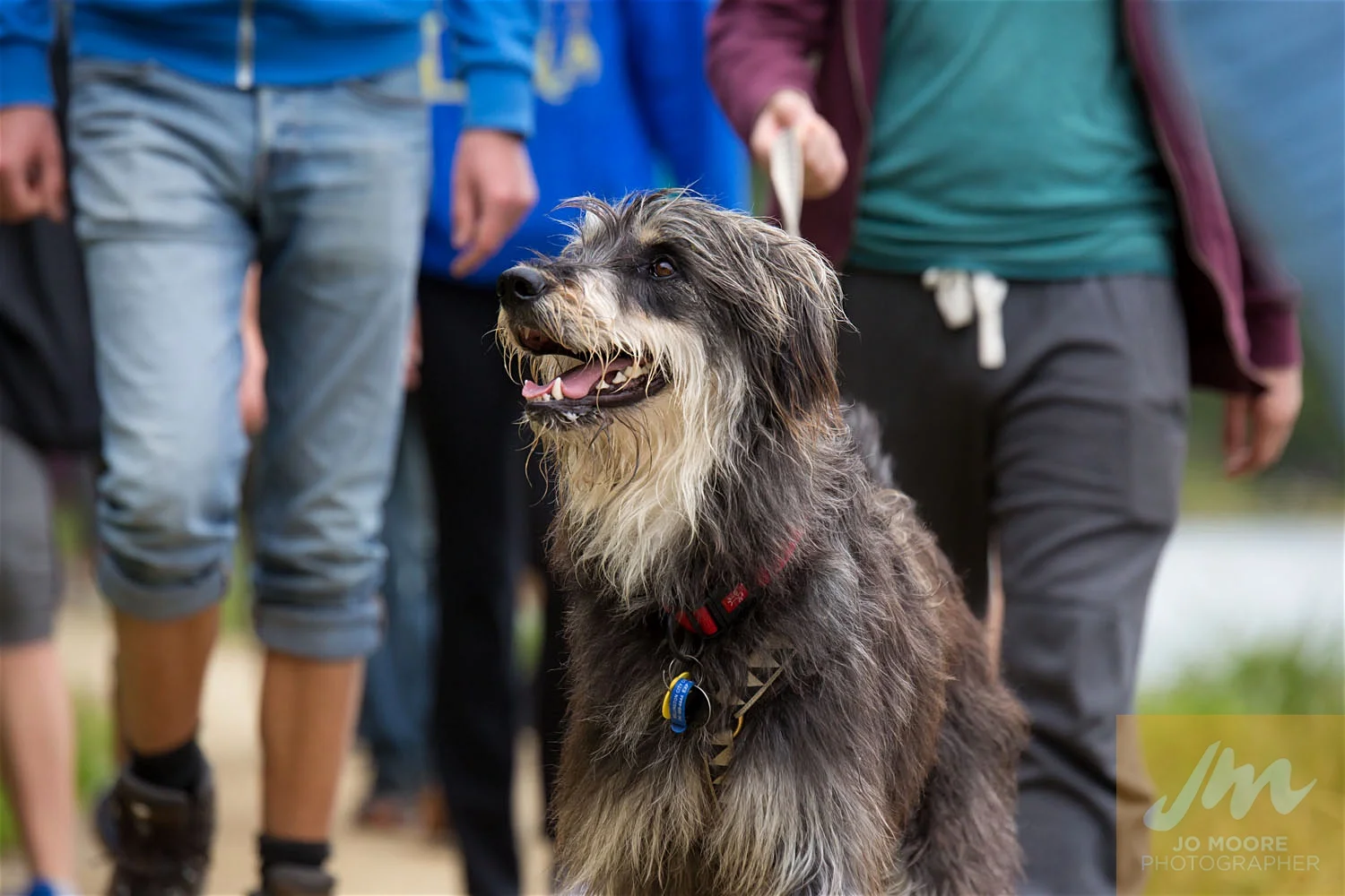 Paws in the Park-70.jpg