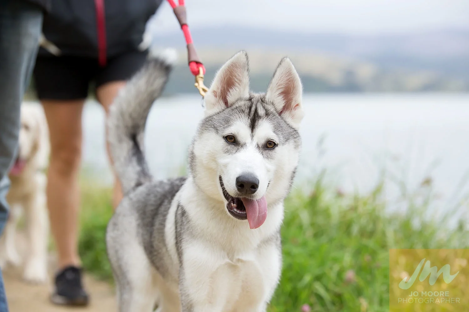 Paws in the Park-72.jpg